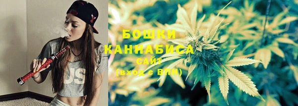 jwh Карпинск